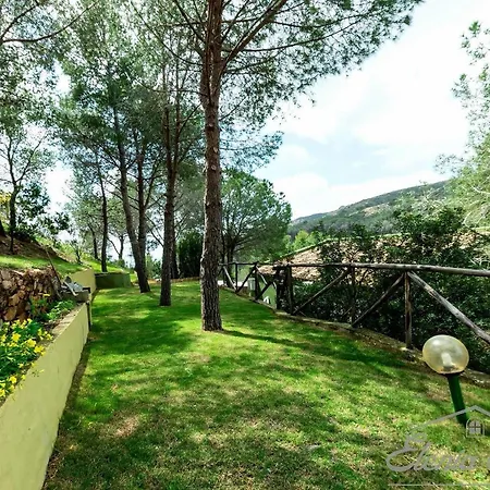 Premium Eleonora, 250m To *