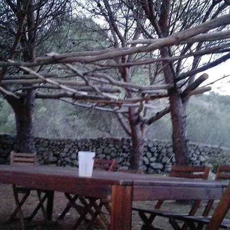 Eleonora Villa *